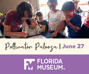 Florida Museum of Natural History Pollinator Palooza 2026 Florida Museum of Natural History Pollinator Palooza 2026